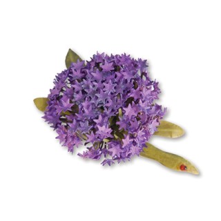 (659261)Thinlits Die Set 6PK - Flower, Globe Allium