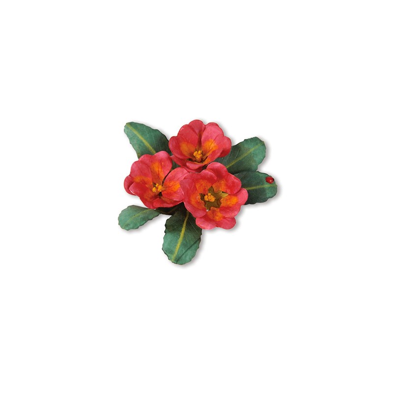 (659263)Sizzix Thinlits Die Set 10PK - Flower, Primrose