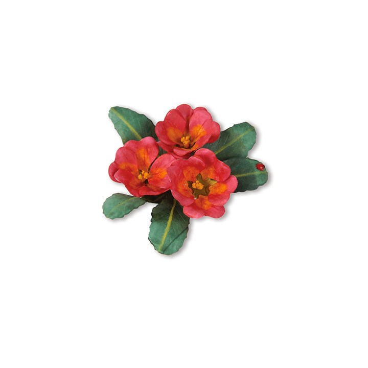 (659263)Sizzix Thinlits Die Set 10PK - Flower, Primrose