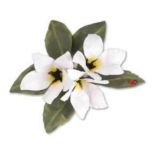 (659264)Sizzix Thinlits Die Set 8PK - Flower, Stephanotis
