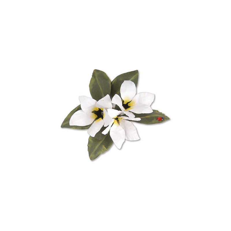 (659264)Sizzix Thinlits Die Set 8PK - Flower, Stephanotis