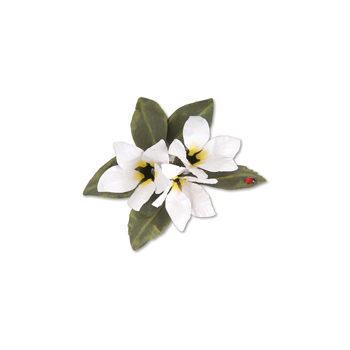 (659264)Sizzix Thinlits Die Set 8PK - Flower, Stephanotis