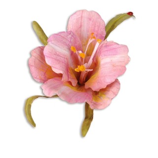 (659259)Sizzix Thinlits Die Set 10PK - Flower, Daylily