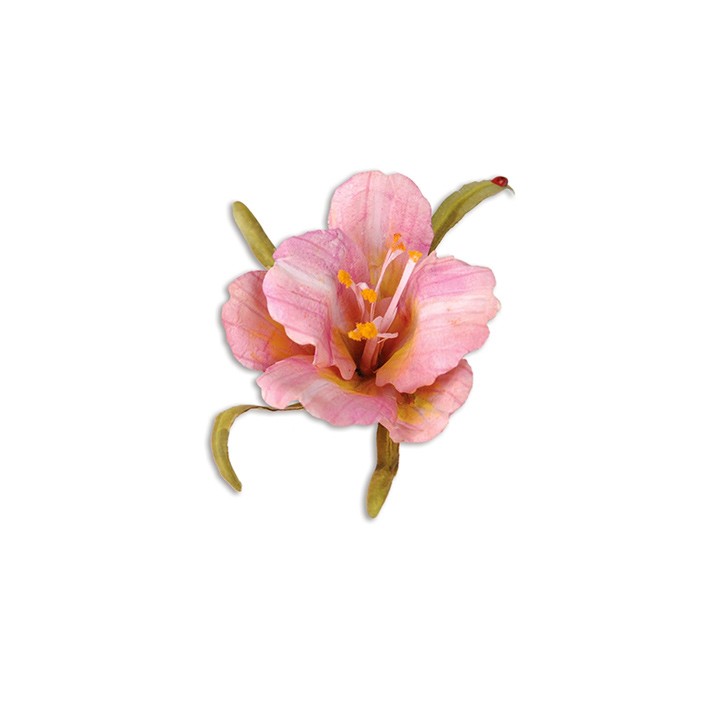 (659259)Sizzix Thinlits Die Set 10PK - Flower, Daylily