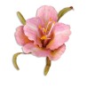 (659259)Sizzix Thinlits Die Set 10PK - Flower, Daylily
