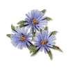 (659255)Sizzix Thinlits Die Set 8PK - Flower, Aster