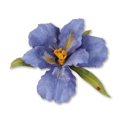 (659256)Sizzix Thinlits Die Set 10PK - Flower, Bearded Iris