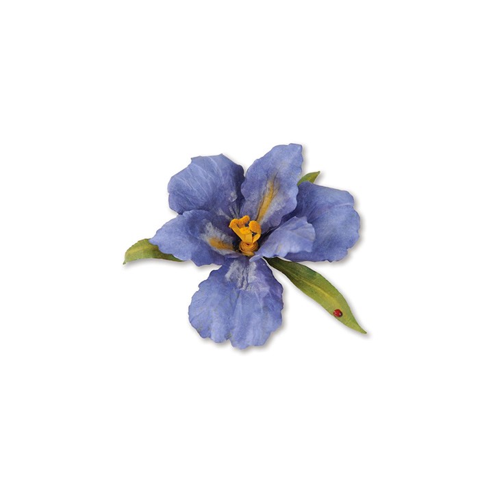 (659256)Sizzix Thinlits Die Set 10PK - Flower, Bearded Iris