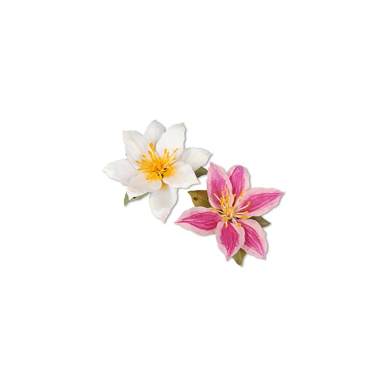 (659257)Sizzix Thinlits Die Set 8PK - Flower, Clematis