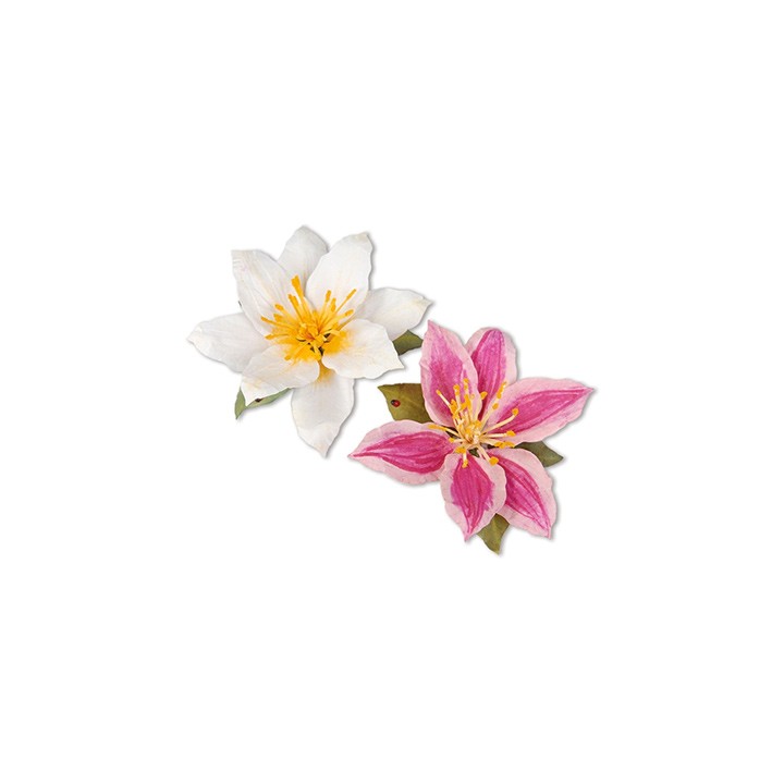 (659257)Sizzix Thinlits Die Set 8PK - Flower, Clematis
