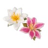 (659257)Sizzix Thinlits Die Set 8PK - Flower, Clematis