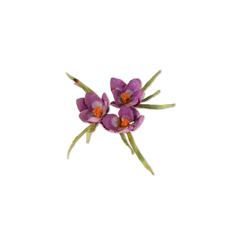(659258)Sizzix Thinlits Die Set 13PK - Flower, Crocus