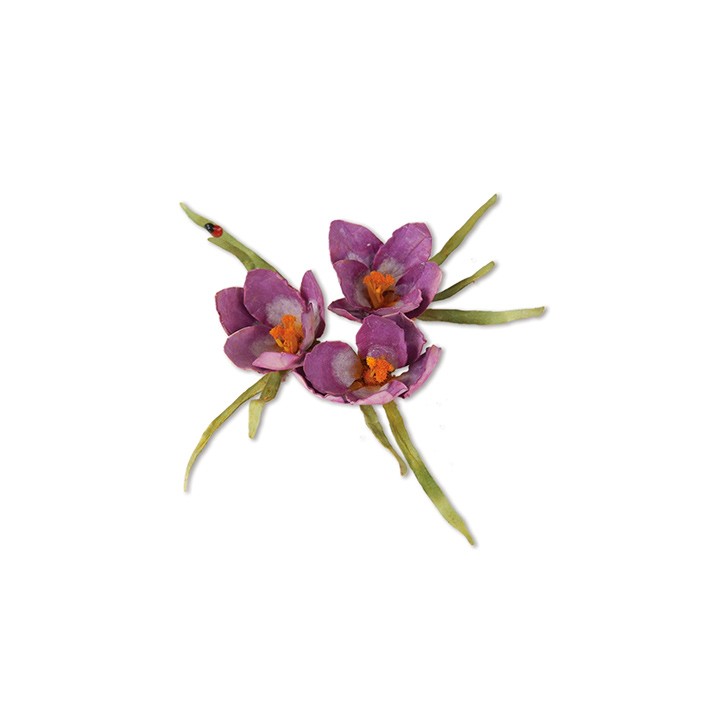 (659258)Sizzix Thinlits Die Set 13PK - Flower, Crocus