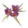 (659258)Sizzix Thinlits Die Set 13PK - Flower, Crocus