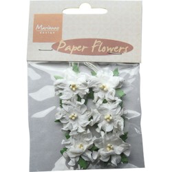 (RB2226)Paper Flowers White