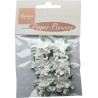 (RB2226)Paper Flowers White