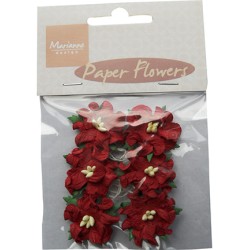 (RB2227)Paper Flowers Red