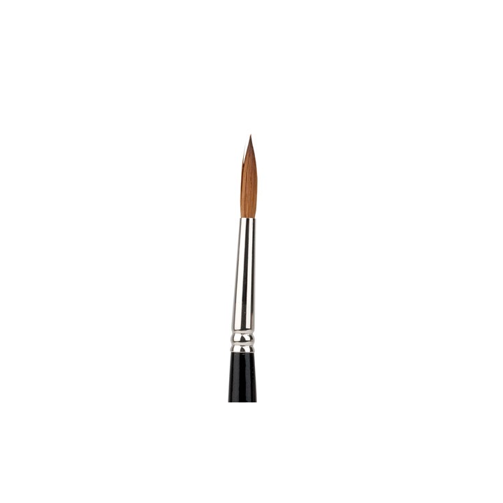 (D780D006)Brush (6) Kolinsky