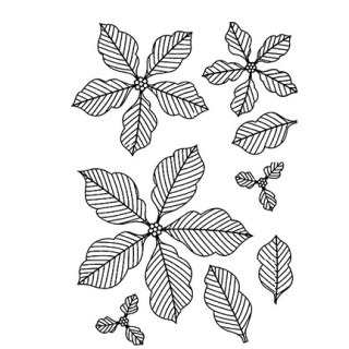 Pinstriped Poinsettias
