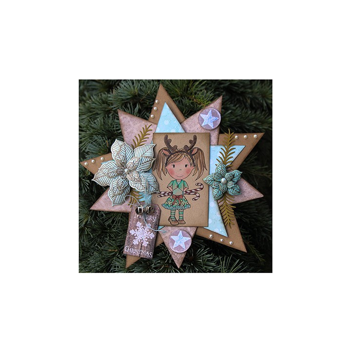 Pinstriped Poinsettias