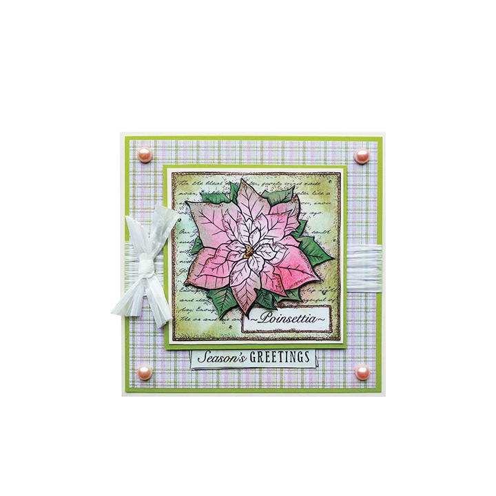 (CBS0006)Tampon clear Poinsettia Collage