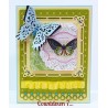 (S4-371)Spellbinders butterflies