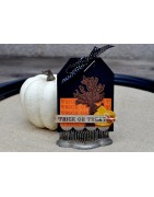 (EPDIE/STAMP11)Echo Park Apothecary Designer Dies & Stamp Set