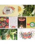 (SL68015)Echo Park Paper Pad Simple Life Alpha Stickers