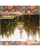 (SL68015)Echo Park Paper Pad Simple Life Alpha Stickers