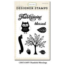 (CBStamp3)Carta Bella Clear Stamp Autumn Thankful Blessing 4x6 I