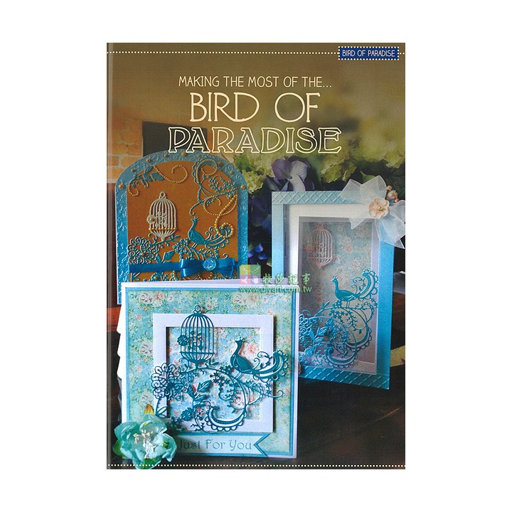 (MAG14)The Tattered Lace Issue 14