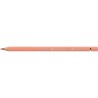 (FC-117689)Faber Castell crayon Albrecht Durer 189 Cinnamon