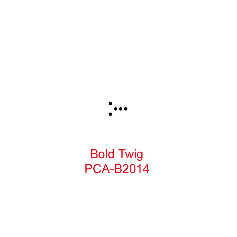 (PCA-B2014)Bold Twig