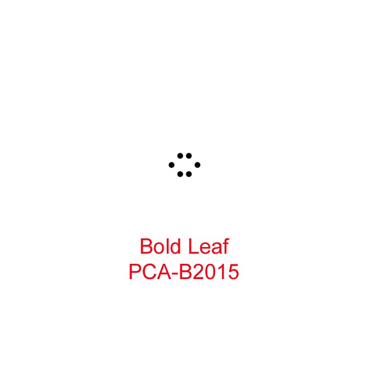(PCA-B2015)Bold Leaf