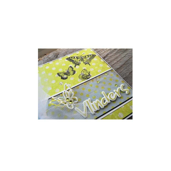 (CS0926)Clear stamp Butterflies and flowers