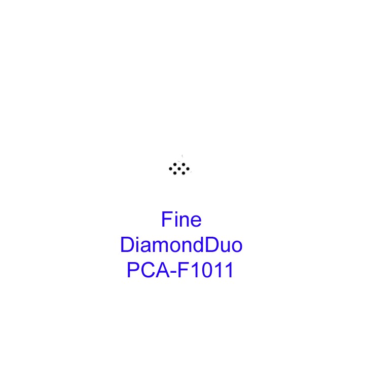 (PCA-F1011)Fine Diamond Duo