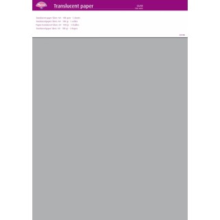 (64002)Translucent Paper Silver A4 100 gsm 5 Sheets