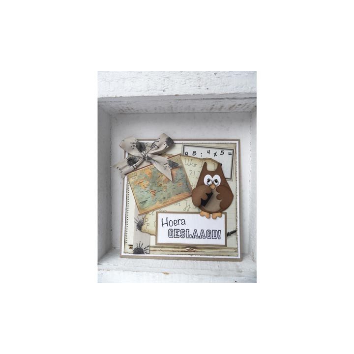(CS0933)Clear stamp Hoera GESLAAGD