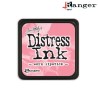 (TDP40309)Distress mini ink worn lipstick