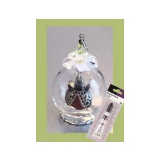(12359-5906)Glass domes set 6 - lady bug