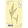 (55.9494)Clear Stamp - Twig
