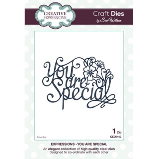 (CED5412)Craft Dies - You are Special