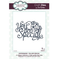 (CED5412)Craft Dies - You are Special