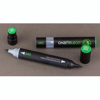 (GR3)Chameleon Pen Grass Green