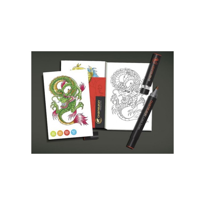 (CCO104)Chameleon color cards Tattoo