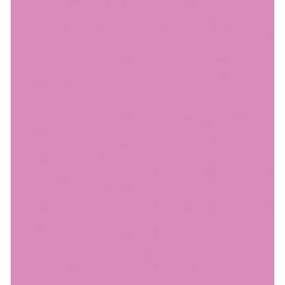 (RB-6000AT/202)Zig Real Brush Peach Pink
