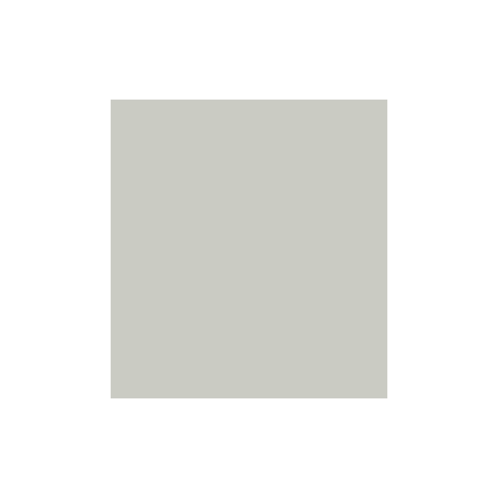 (RB-6000AT/099)Zig Real Brush Cool Gray 1