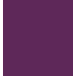 (RB-6000AT/082)Zig Real Brush Purple