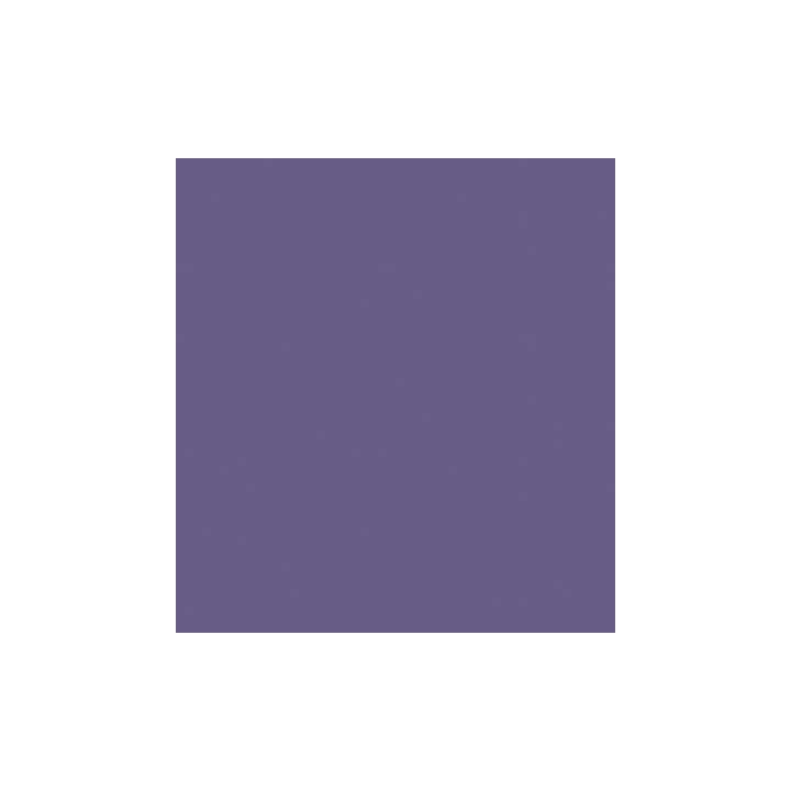 (RB-6000AT/080)Zig Real Brush Violet