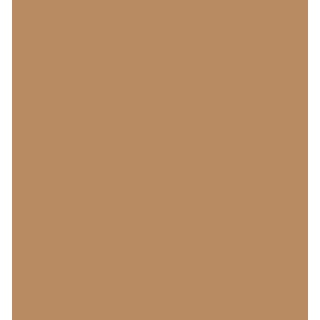 (RB-6000AT/072)Zig Real Brush Beige